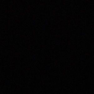 Meet your Posher, Hector